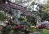 สวนสัตว์เชียงใหม่ สืบสานประเพณีลอยกระทงน้ำแข็งปลาทู ให้ฝูงเพนกวิน