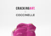 CRACKING ART© X COCCINELLE