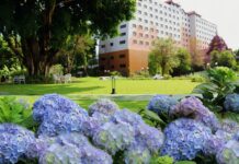 ชื่นฉ่ำเที่ยวหน้าฝน และดื่มด่ำกาแฟรักษ์โลก ที่ “เฮอริเทจ เชียงราย โฮเทล แอนด์ คอนเวนชัน”