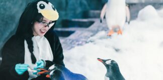 “เจนิส – เจณิสตา” ร่วมประชันความน่ารัก กับทัพเพนกวินในงานเปิดโซน เจนทูเพนกวิน โฉมใหม่ เย็นกว่า ใหญ่กว่าเดิมที่ ซีไลฟ์ แบงคอก สยามพารากอน