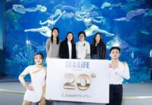 ฉลองใหญ่ 20 ปี “ซีไลฟ์ แบงคอก” เปิดตัว มูลนิธิซีไลฟ์แบงคอก พลัส สานต่อพันธกิจอนุรักษ์ทะเลไทย พร้อมจัดแสดงระบำใต้น้ำสุดอลังการ