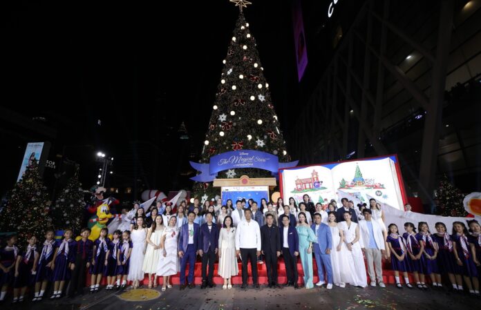 Light Up Christmas Tree 2026 (15)