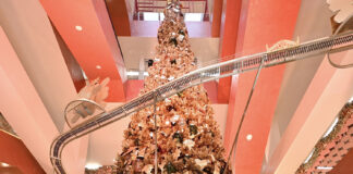 ห้างเซ็นทรัล ในเครือเซ็นทรัล รีเทล จัดงาน “CHRISTMAS LIGHT UP WONDER” เปิดไฟต้นคริสต์มาสสูงสามชั้น ชวน ซี-นุนิว-แอลลี่ ร่วมช้อปไอเทมของขวัญที่ยิ่งใหญ่ครบครันที่สุดทั่วประเทศ