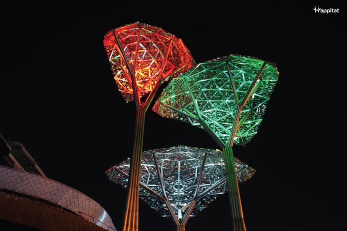 The Enchanted Trees Lighting_1