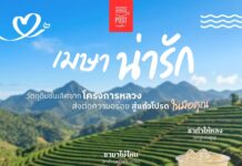 เติมความเฟรชรับซัมเมอร์! “โพสต์ คาเฟ่” เสิร์ฟ 3 เมนูคลายร้อนจากวัตถุดิบพรีเมียม “โครงการหลวง” พร้อมชวนหลบร้อนกับบรรยากาศสุดชิลล์ตลอดเดือนเมษายนนี้