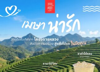 เติมความเฟรชรับซัมเมอร์! “โพสต์ คาเฟ่” เสิร์ฟ 3 เมนูคลายร้อนจากวัตถุดิบพรีเมียม “โครงการหลวง” พร้อมชวนหลบร้อนกับบรรยากาศสุดชิลล์ตลอดเดือนเมษายนนี้