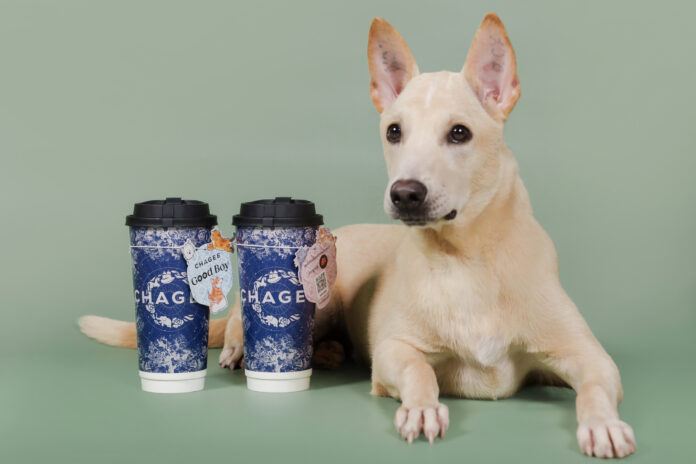Chagee x Soi Dog