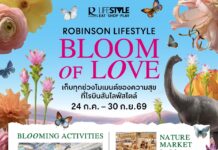 โรบินสันไลฟ์สไตล์ เตรียมจัดงาน “Bloom of Love” ชมความมหัศจรรย์ ดอกไม้ ผีเสื้อ และไดโนเสาร์ ปักหมุดชัยภูมิที่แรก พร้อมโรดโชว์ 7 สาขาทั่วประเทศ ระหว่างวันที่ 24 ก.ค. 69 – 30 ก.ย. 69
