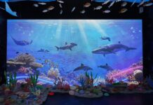 คนแน่นทุกวัน! กระแสแรงไม่หยุด “SEA THE CHANGE” ผู้เข้าชมหลั่งไหลสัมผัสโลกใต้ทะเล 360° ร่วมสร้างโลกทะเลใหม่ด้วยมือเรา ฟรี! ถึง 12 ส.ค. นี้