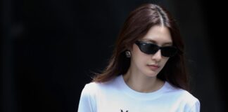 Max Mara นำเสนอเสื้อยืดพิมพ์ลายสุนัขเวมาราเนอร์ในเฉดสีใหม่